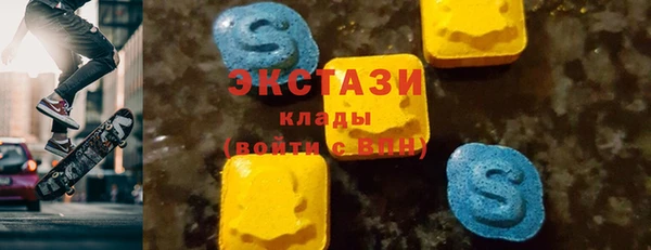 хмурый Аркадак