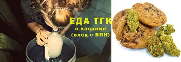 хмурый Аркадак