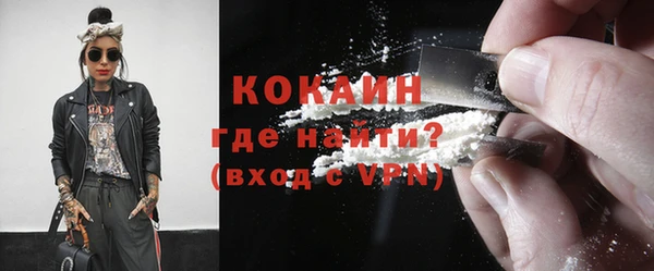 хмурый Аркадак