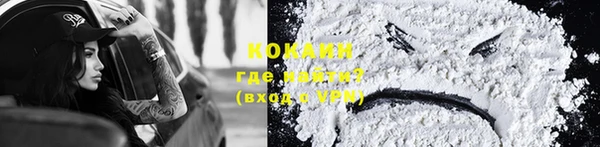 хмурый Аркадак