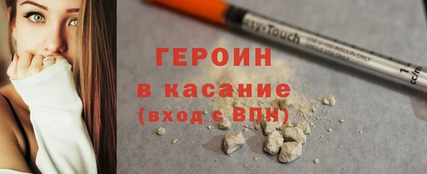 хмурый Аркадак