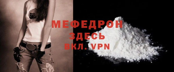 хмурый Аркадак
