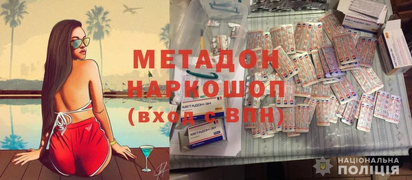 хмурый Аркадак