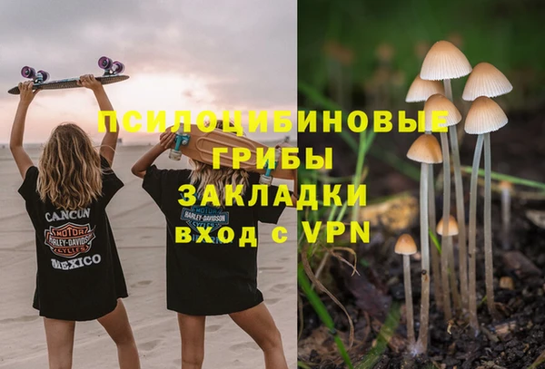 прущий лед Арсеньев