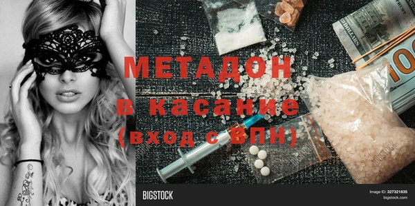 хмурый Аркадак