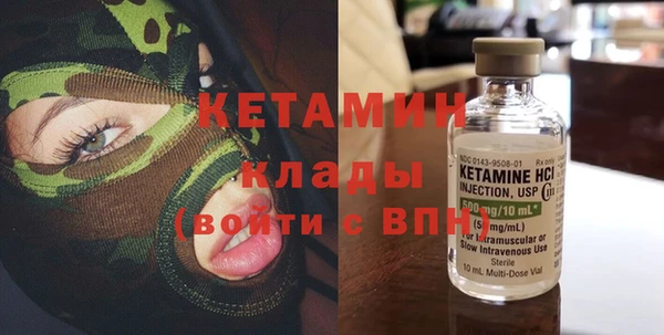 хмурый Аркадак