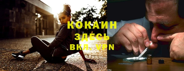 хмурый Аркадак