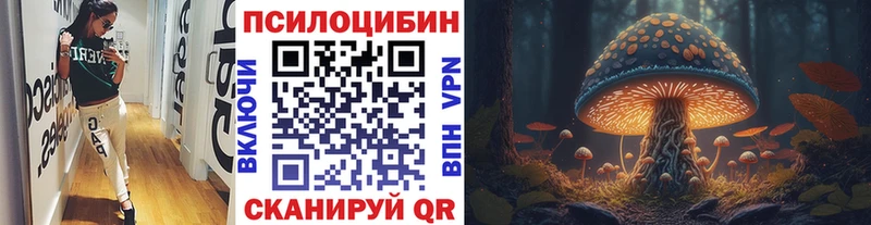где найти   Сельцо  Галлюциногенные грибы ЛСД 